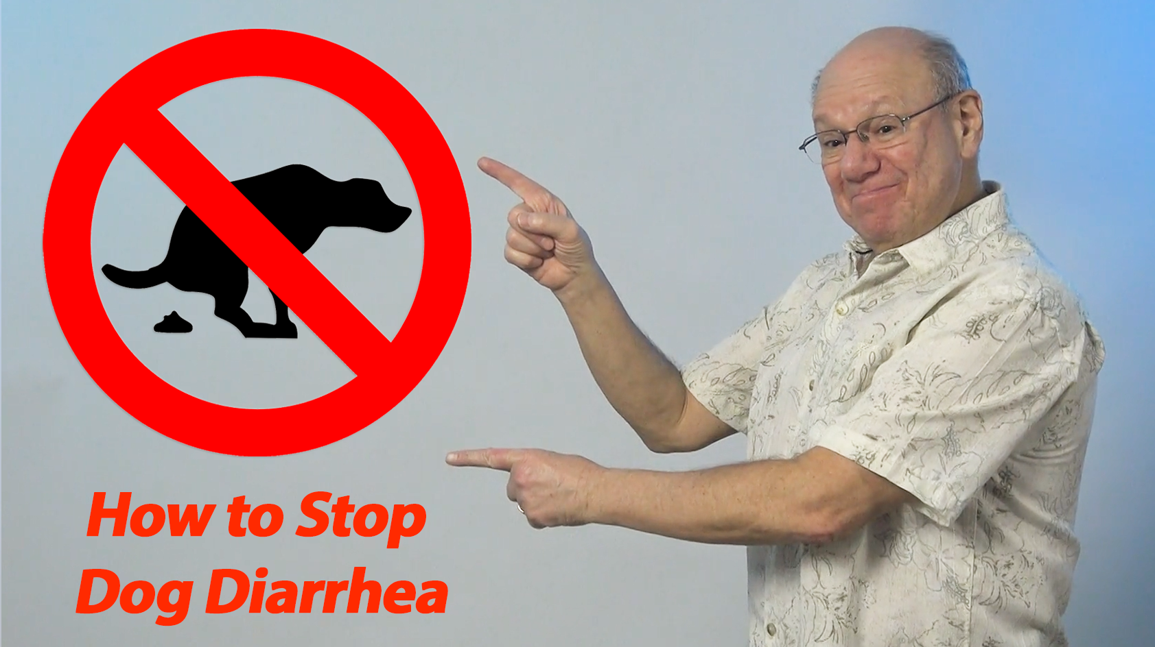 How to Stop Dog Diarrhea