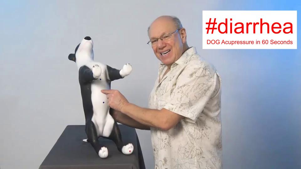 #diarrhea - DOG Acupressure in 60 Seconds