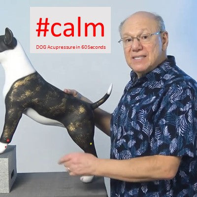#calm - DOG Acupressure in 60 Seconds