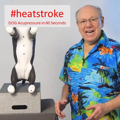 #heatstroke - DOG Acupressure in 60 Seconds – Dr Baritz