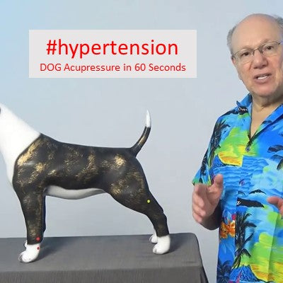 #hypertension - DOG Acupressure in 60 Seconds