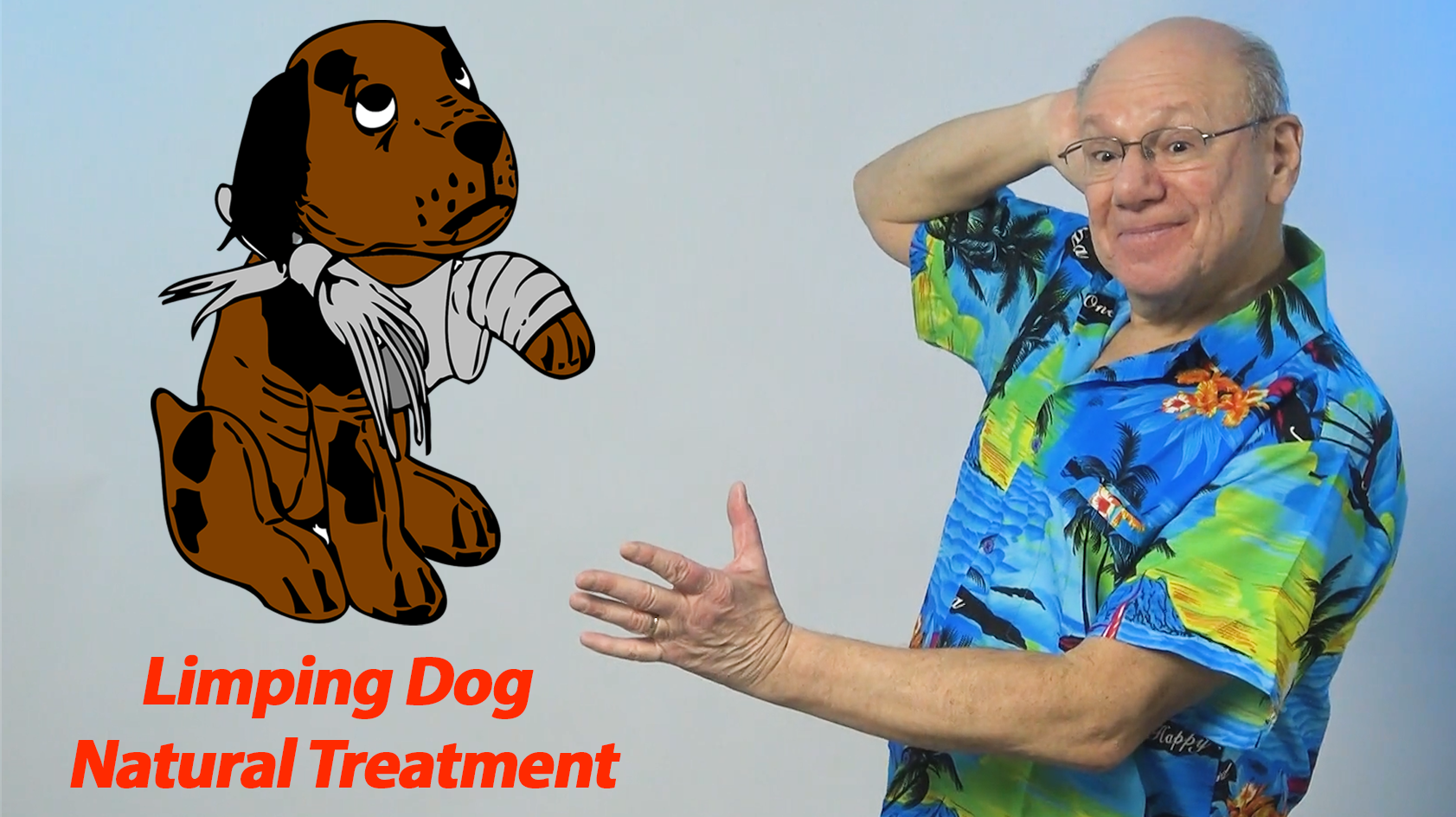Limping Dog Natural Treatment