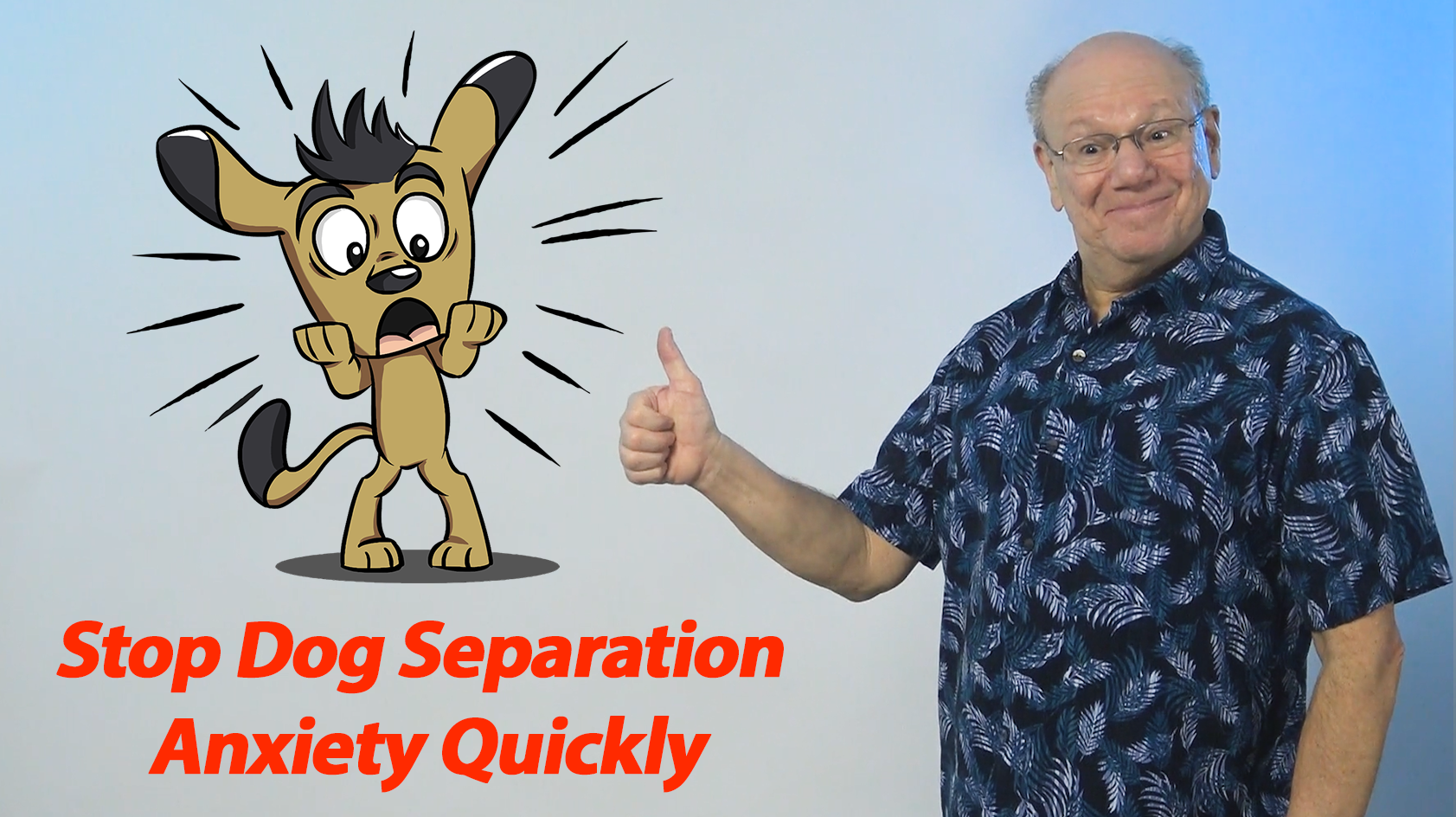 Stop Dog Separation Anxiety Quickly