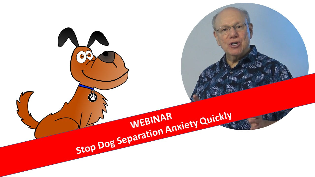 Webinar: Stop Dog Separation Anxiety Quickly