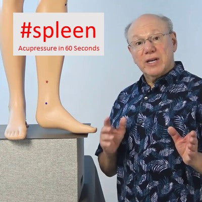 spleen