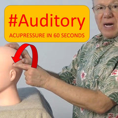 Auditory