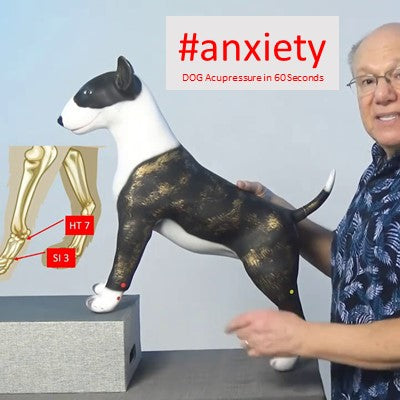 #anxiety - DOG Acupressure in 60 Seconds