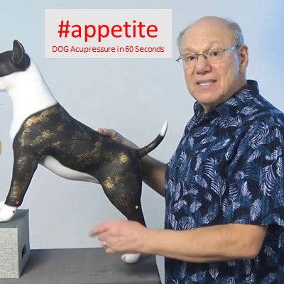 #appetite - DOG Acupressure in 60 Seconds