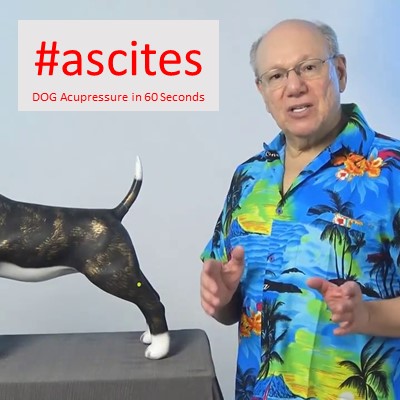#ascites - Acupressure in 60 Seconds