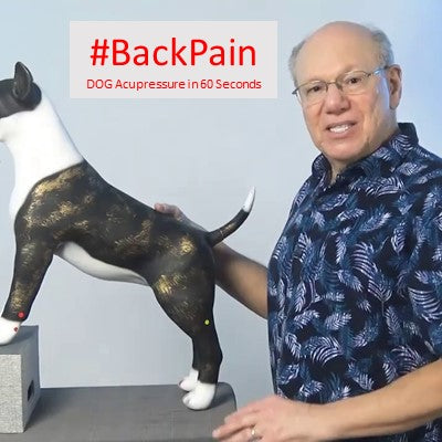 #BackPain - DOG Acupressure in 60 Seconds