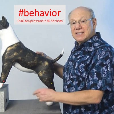 #behavior - DOG Acupressure in 60 Seconds