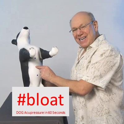 #bloat - DOG Acupressure in 60 Seconds