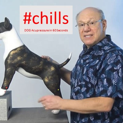 #chills - DOG Acupressure in 60 Seconds