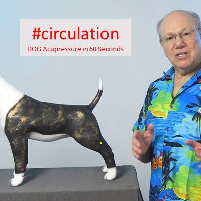#circulation - DOG Acupressure in 60 Seconds