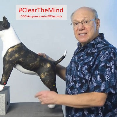 #ClearTheMind - DOG Acupressure in 60 Seconds