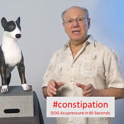#constipation - DOG Acupressure in 60 Seconds