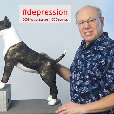 #depression - DOG Acupressure in 60 Seconds