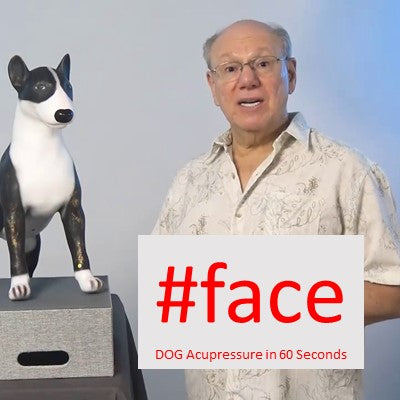 #face - DOG Acupressure in 60 Seconds