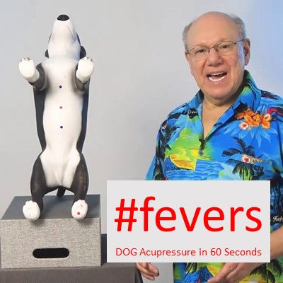 Fever-Free Fidos: Acupressure Tip for Happy, Healthy Dogs