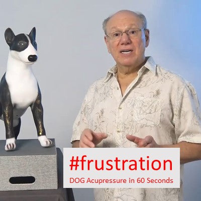 #frustration - DOG Acupressure in 60 Seconds