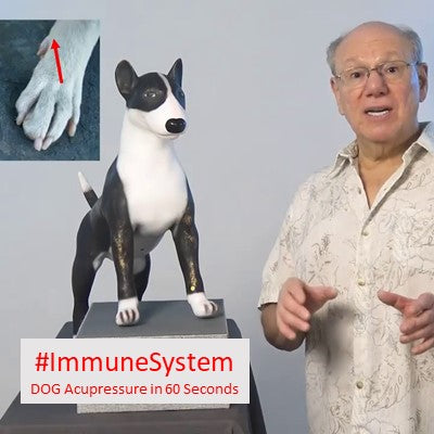 #ImmuneSystem - DOG Acupressure in 60 Seconds