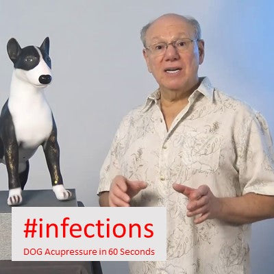 #infections - DOG Acupressure in 60 Seconds