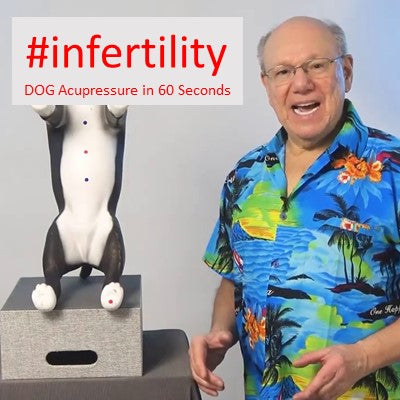 #infertility - DOG Acupressure in 60 Seconds