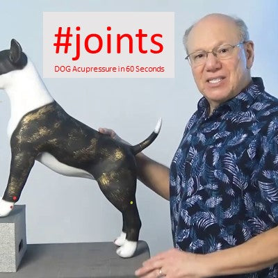 #joints - DOG Acupressure in 60 Seconds