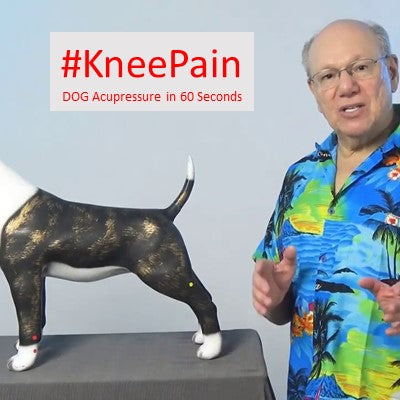 #KneePain - DOG Acupressure in 60 Seconds