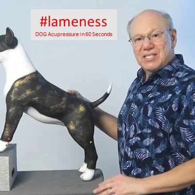 Acupressure: Helping Your Lame Dog Find Relief