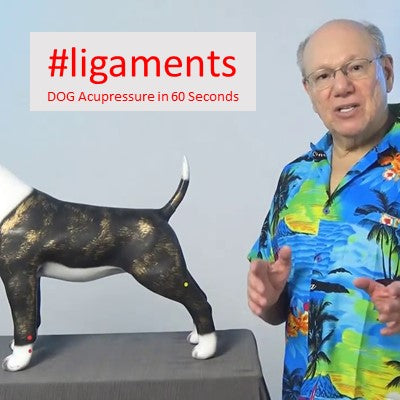 #ligaments - DOG Acupressure in 60 Seconds