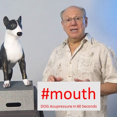 #mouth - DOG Acupressure in 60 Seconds
