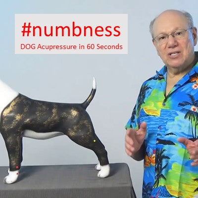#numbness - DOG Acupressure in 60 Seconds