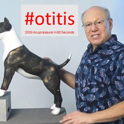 #otitis - DOG Acupressure in 60 Seconds