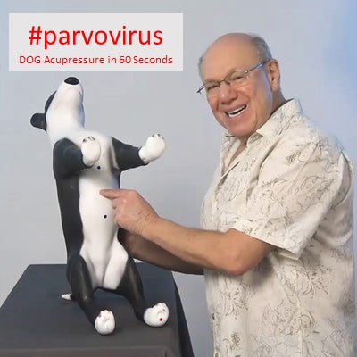 #parvovirus - DOG Acupressure in 60 Seconds