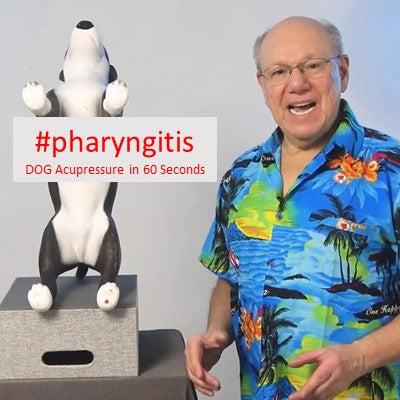 #pharyngitis - DOG Acupressure in 60 Seconds – Dr Baritz