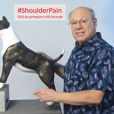 #ShoulderPain - DOG Acupressure in 60 Seconds
