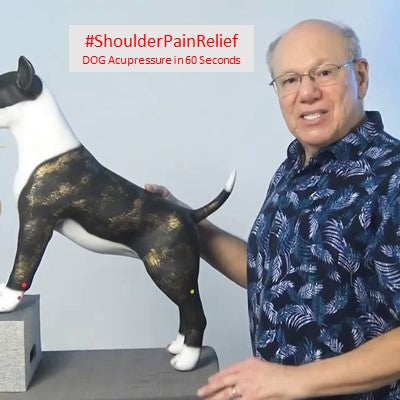 Pawsitively: Acupressure for Shoulder Ailments in Dogs