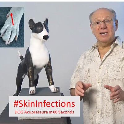 #SkinInfections - DOG Acupressure in 60 Seconds