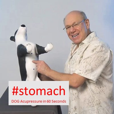 #stomach - DOG Acupressure in 60 Seconds