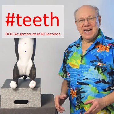 #teeth - DOG Acupressure in 60 Seconds