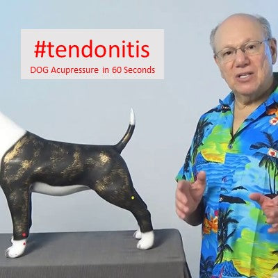 #tendonitis - DOG Acupressure in 60 Seconds