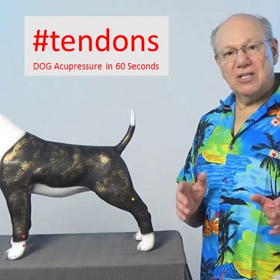 #tendons - DOG Acupressure in 60 Seconds