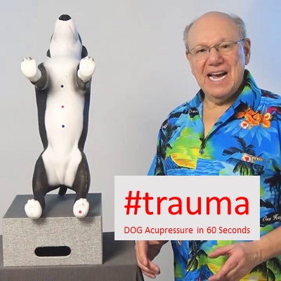 Nurturing Resilience: Acupressure Method to Relieve Trauma in Your Beloved Dog