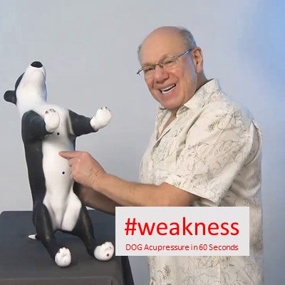 #weakness - Acupressure in 60 Seconds