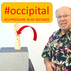 Occipital