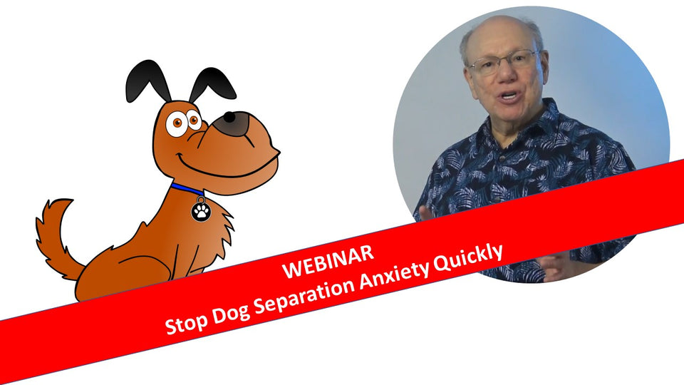 Webinar: Stop Dog Separation Anxiety Quickly