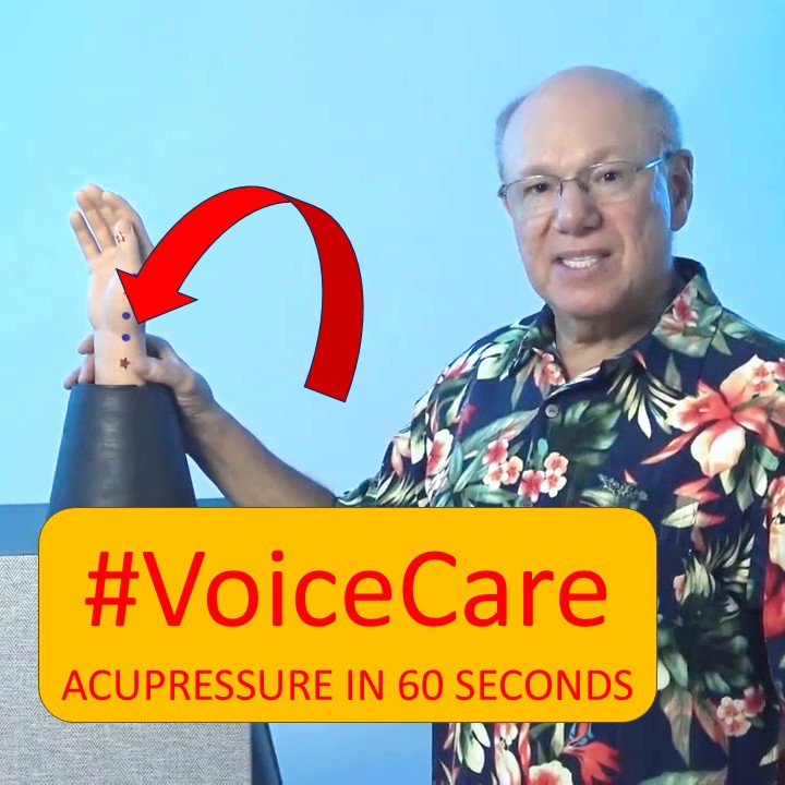 Voice