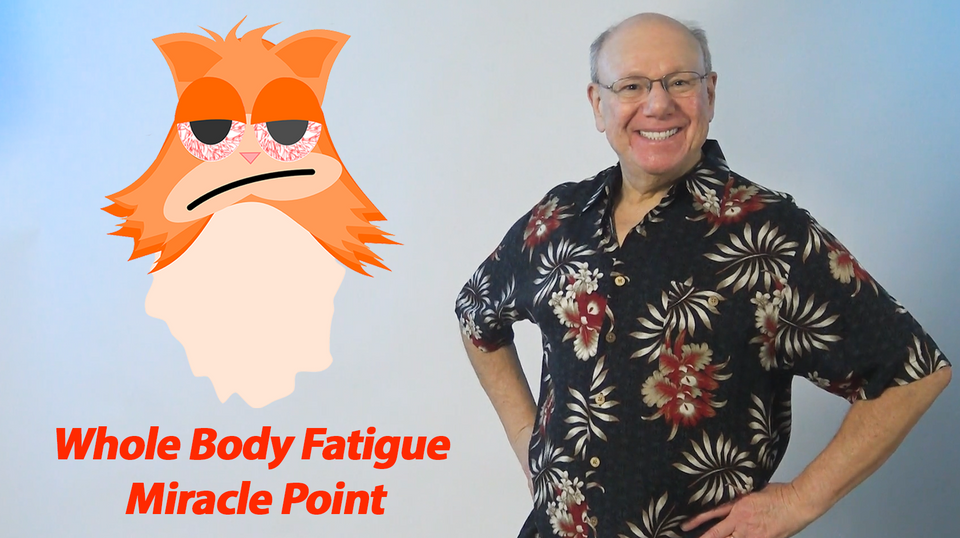 Whole Body Fatigue Miracle Point
