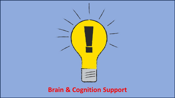 Brain & Cognition Support